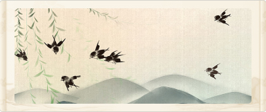 想找到家谱吗？输入姓氏搜索